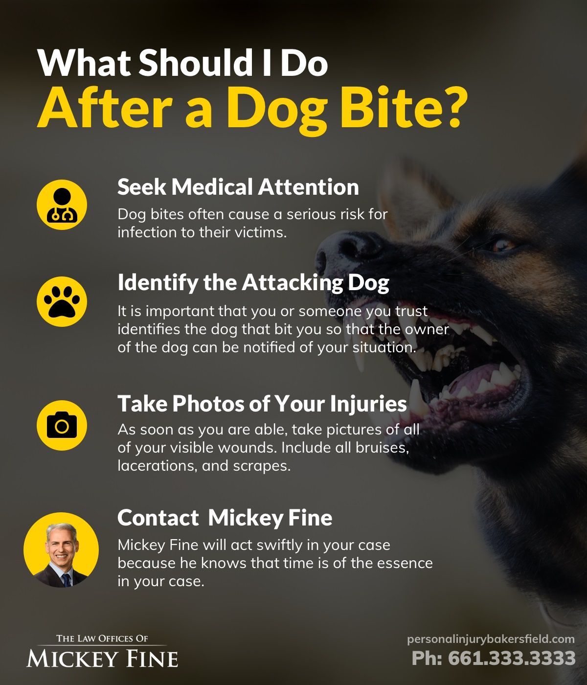 What Should I Do After a Dog Bite?