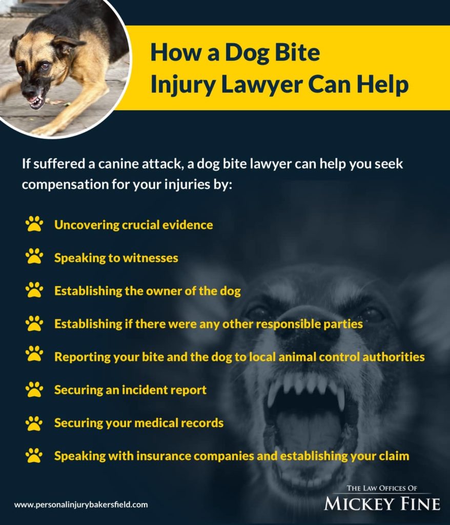 How a Bakersfield Dog Bite Attorney Can Help | The Law Offices of Mickey Fine